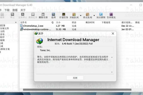 Internet Download Manager IDM 破解版 中文便携版 v6.41.3