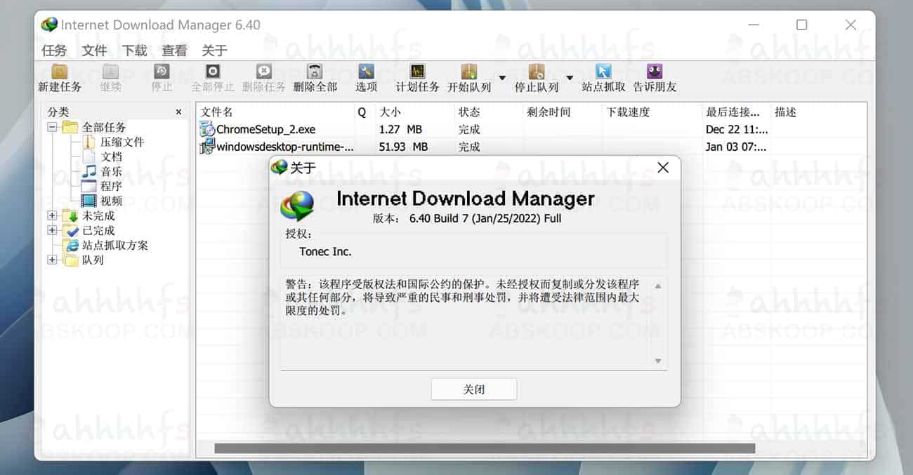 Internet Download Manager